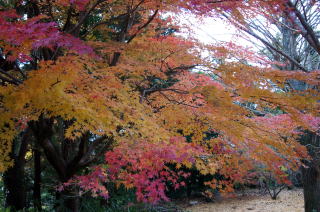 �����g�t